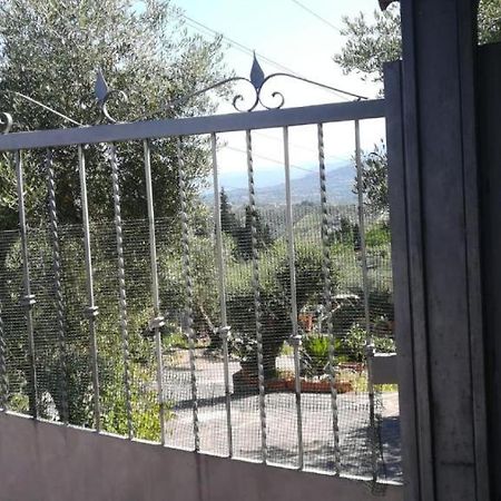 Вилла La Casa Tra Gli Ulivi Di Fonte Nuova 1 Экстерьер фото